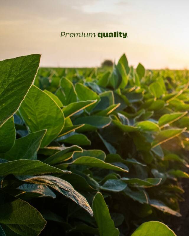 Premium isn’t just about the look…it’s what’s inside that sets us apart.
Elegance uses carefully selected tobacco for a consistently smooth, satisfying experience.

Tobacco products contain nicotine, a highly addictive substance that can lead to dependence, making it challenging to quit. Intended for adult use only.

لکژری صرف ظاہری خوبصورتی نہیں، بلکہ اندرونی معیار بھی اہم ہے۔
ایلیگینس اعلیٰ منتخب کردہ تمباکو استعمال کرتا ہے تاکہ ہر بار ایک ہموار اور اطمینان بخش تجربہ فراہم کیا جا سکے۔

تمباکو کی مصنوعات میں نیکوٹین شامل ہوتی ہے، جو ایک انتہائی نشہ آور مادہ ہے اور انحصار کا باعث بن سکتی ہے، جس سے چھٹکارا پانا مشکل ہو سکتا ہے۔ صرف بالغوں کے استعمال کے لیے مخصوص ہے۔

#Elegance #Craftedforyou #Elegancepremiumquality